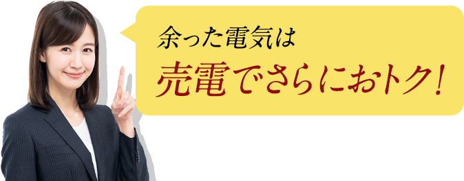 余った電気は売電でさらにおトク！